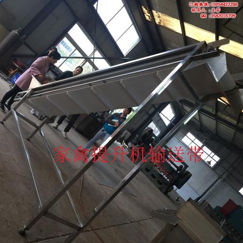 家禽提升机专业加工定制工厂