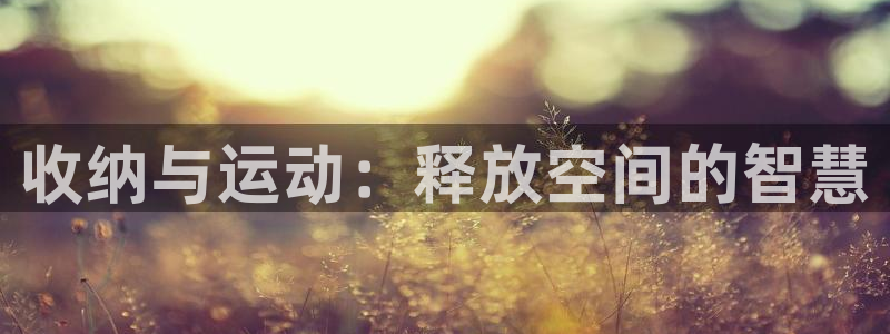 tp钱包安卓官网下载：收纳与运动：释放空间的智慧