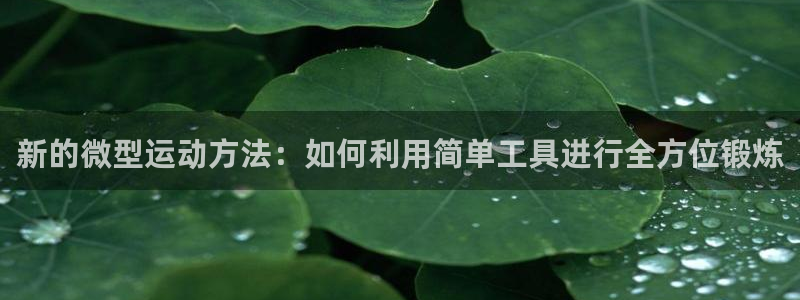 TP钱包安卓版下载2024：新的微型运动方法：如何利用简单工