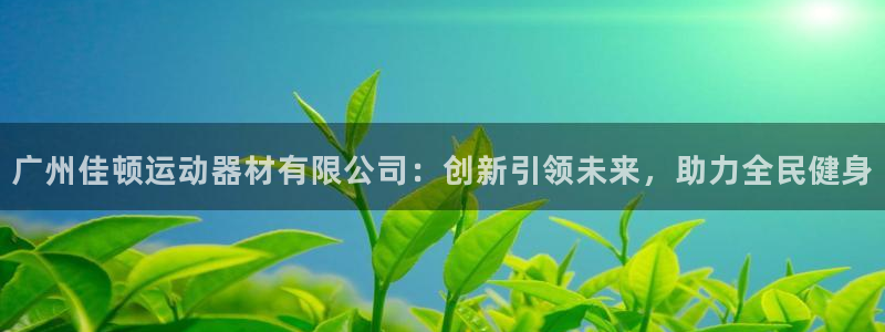 tp钱包gas费怎么调：广州佳顿运动器材有限公司：创新引领未