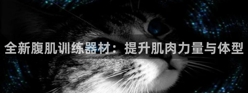 tpatpa加速器：全新腹肌训练器材：提升肌肉力量与体型