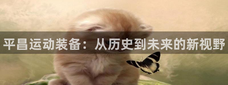 tp钱包app里浏览器不能用了怎么办：平昌运动装备：