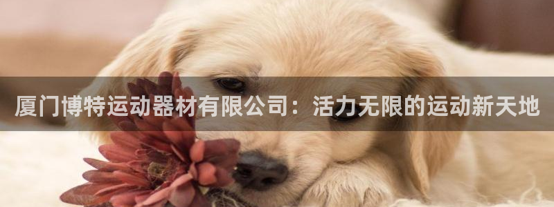 tp钱包 被盗：厦门博特运动器材有限公司：活力无限的