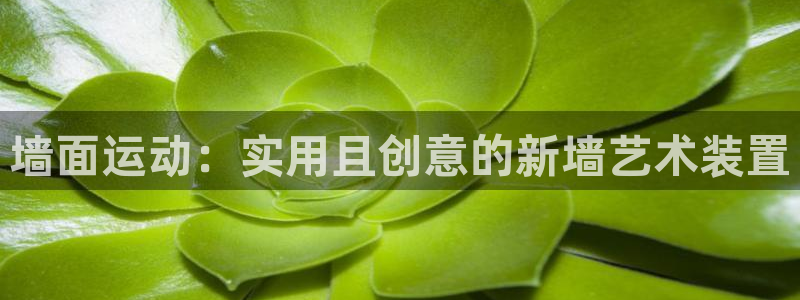 tp钱包matic链怎么转入：墙面运动：实用且创意的