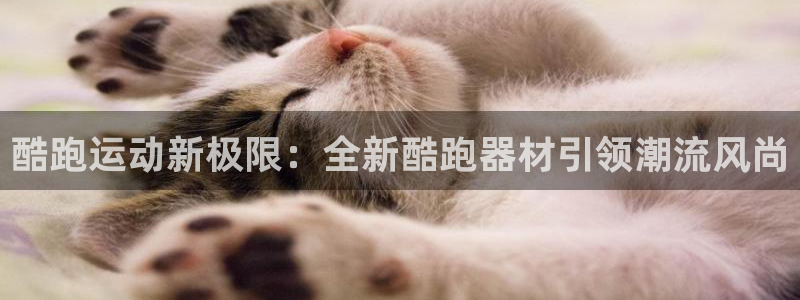 tp钱包BNB怎么卖掉：酷跑运动新极限：全新酷跑器材