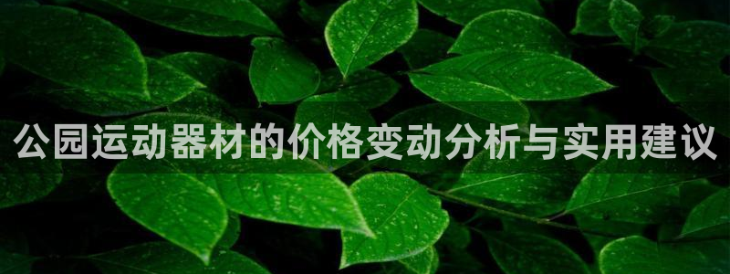 tptp下载安装内存多大：公园运动器材的价格变动分析