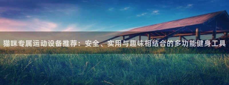 tp钱包bnb矿工费：猫咪专属运动设备推荐：安全、实用与趣味