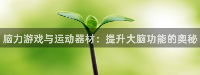 tp钱包app苹果版下载：脑力游戏与运动器材：提升大脑功能的