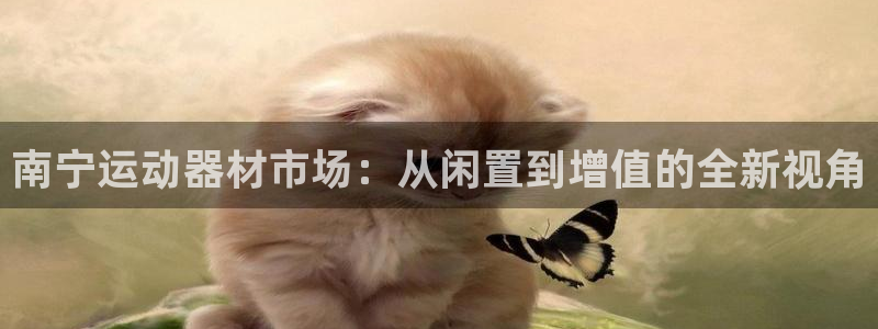 tp钱包pc：南宁运动器材市场：从闲置到增值的全新视角