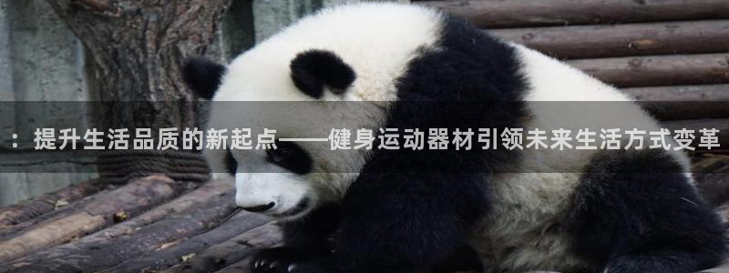 TP钱包C2C：：提升生活品质的新起点——健身运动器材引领未
