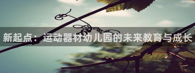 tps区块链：新起点：运动器材幼儿园的未来教育与成长